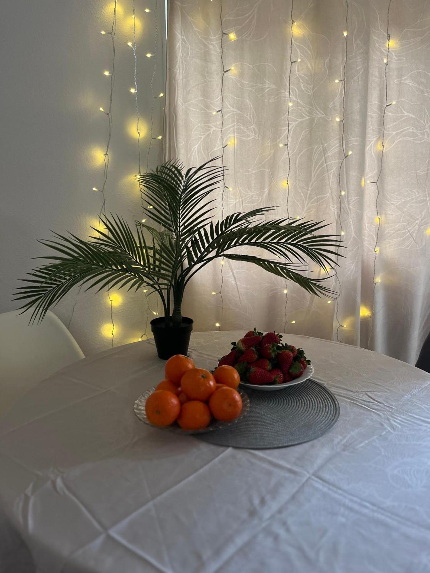 Magdalena Apartament Torrevieja Eksteriør bilde